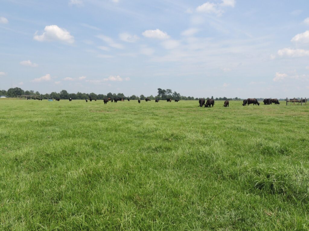 Farmland - Project 8